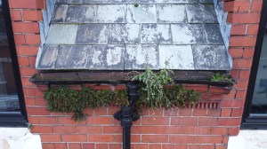 drone, roof, drone inspection, drone roof inspection, drone roof survey, drone, drone photography