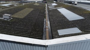 drone, aerial photography, drone services, drone surveys, drone roof inspections