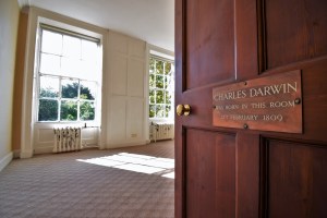 photography, camera, dslr, 20mp, ground based photography, internal and external photography,